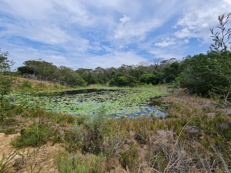 Commercial Property for Sale in Twin Valley Eastern Cape